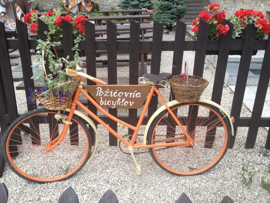 Penzion Javorina Čičmany Exterior foto