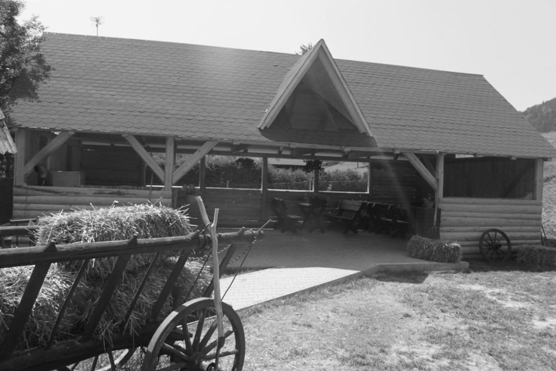Penzion Javorina Čičmany Exterior foto